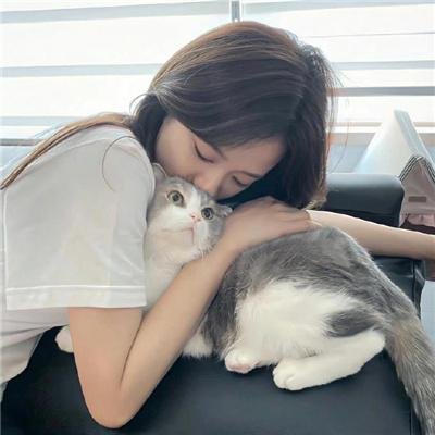 辣妹过招 在线观看封面