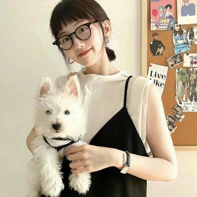 宝贝回家 在线观看封面