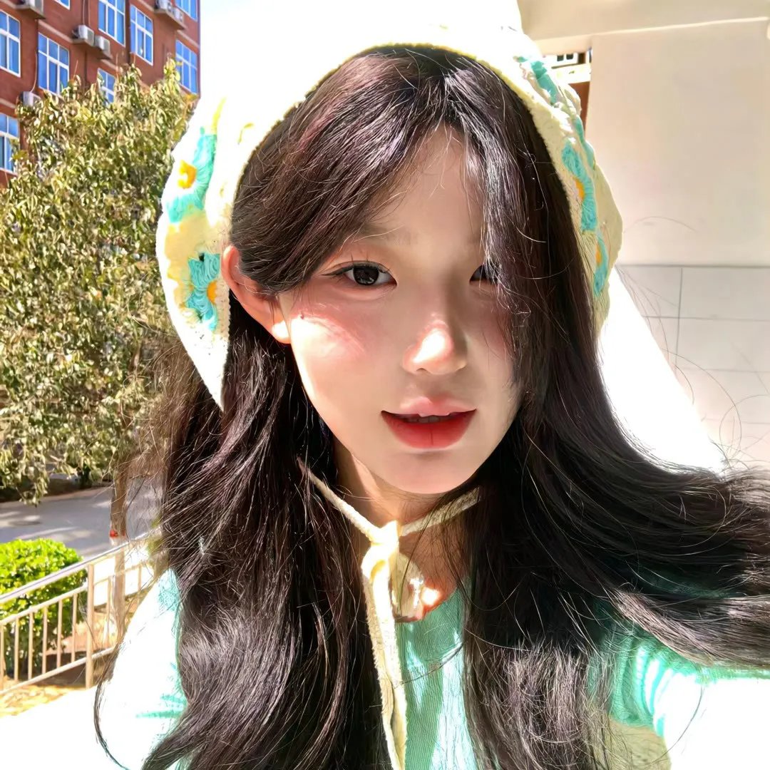 木材宝藏狗 在线观看封面